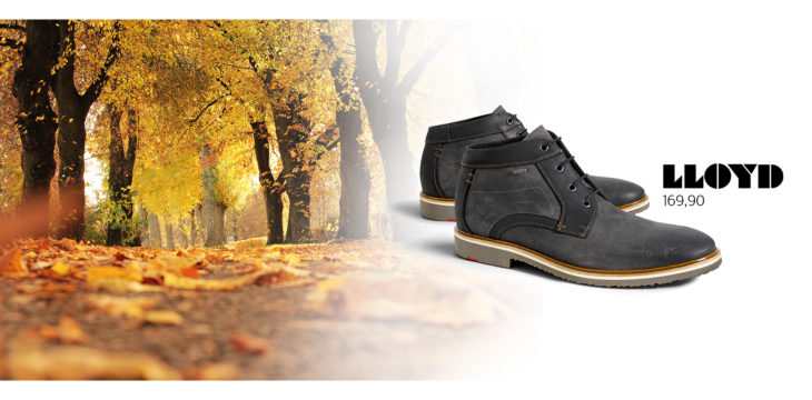 Stylischer Desert Boot …